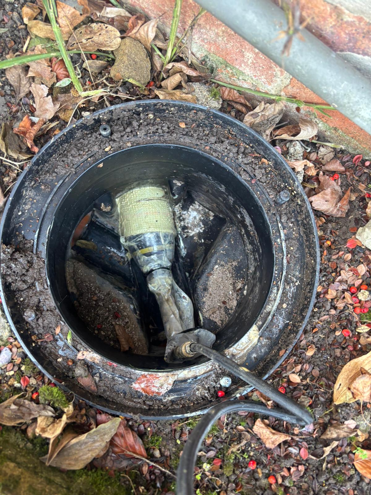 WhatsApp Image 2025 02 03 at 21.20.48